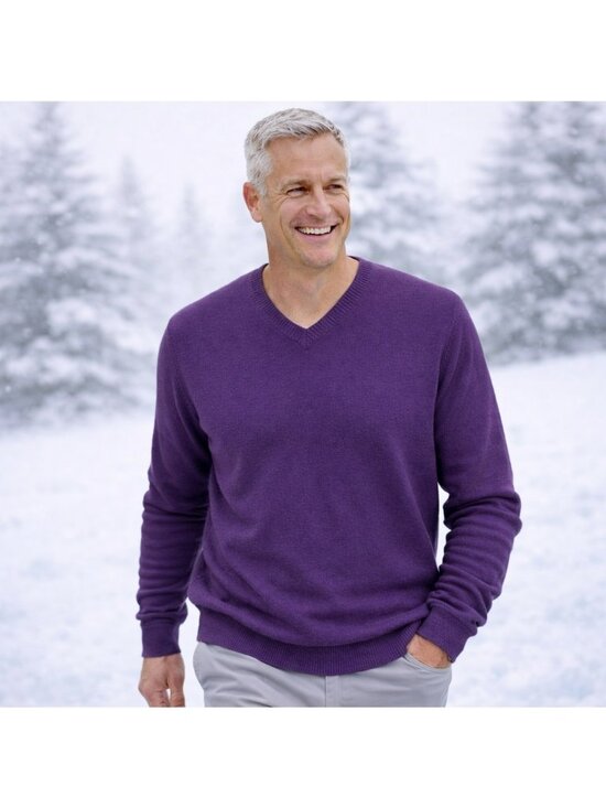 Club Room Other - Club Room Estate 100% Cashmere Purple V-Neck Pullover Sweater Mens Large